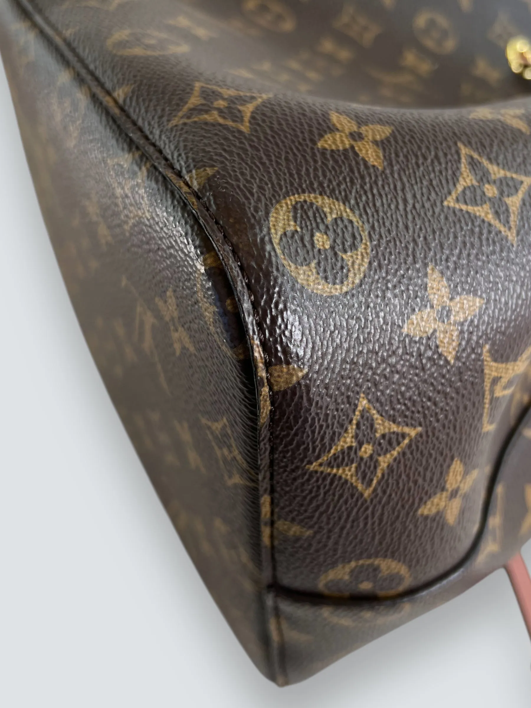 Louis Vuitton Monogram Canvas NéoNoé Bucket Bag