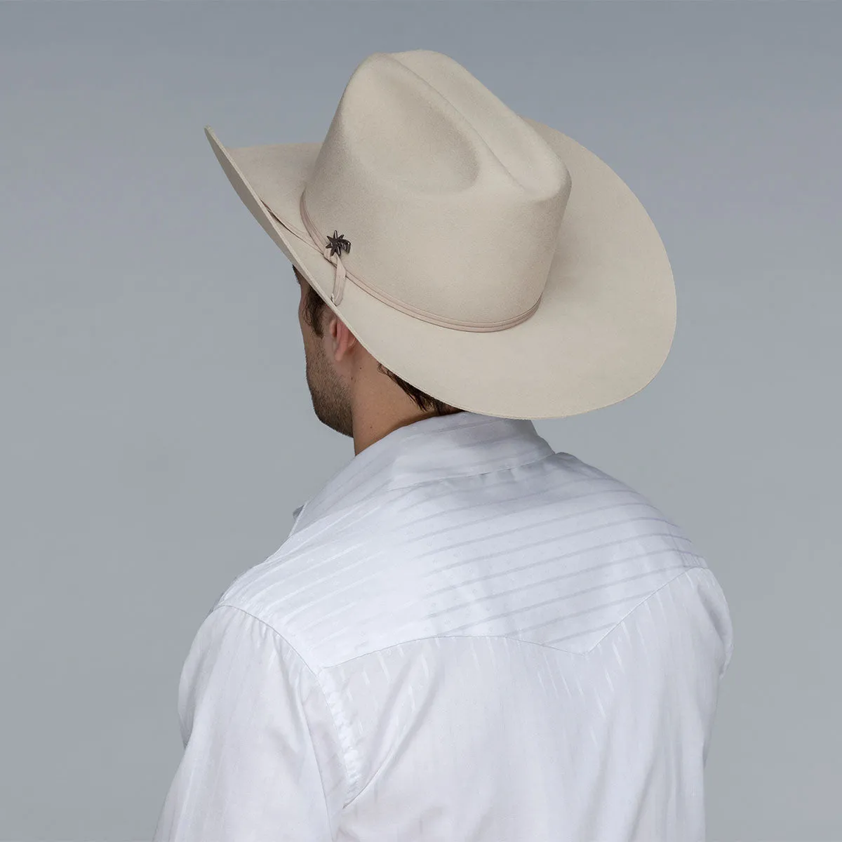 Stampede 2X